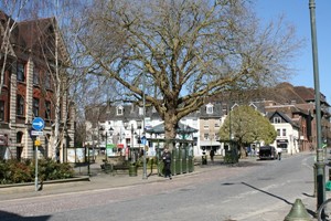 The Carfax